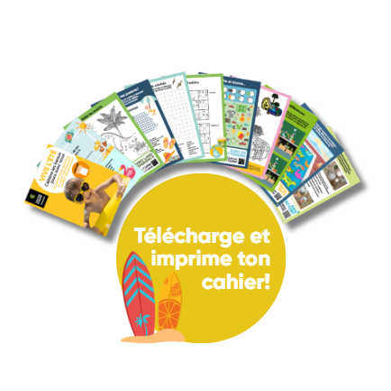 CAT - téléchargement carnet ici-4