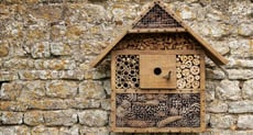 hotel à insectes